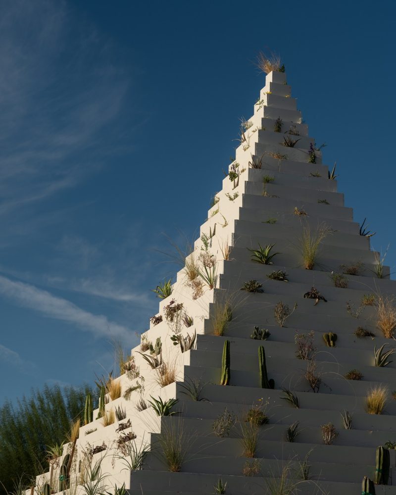 Detail Desert X 2025 installation view of Agnes Denes The Living Pyramid at Sunnylands Center & Gardens, photo by Lance Gerber, courtesy Desert X